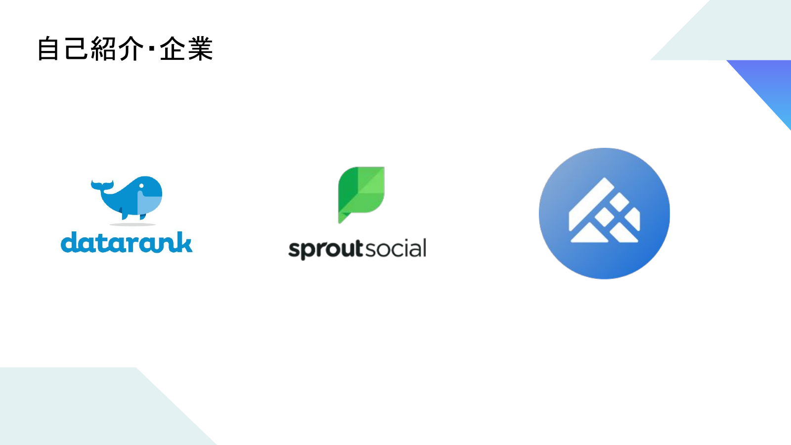 Slide 5: 自己紹介・